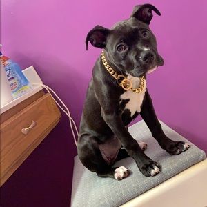 Meet your Posher, Jacob